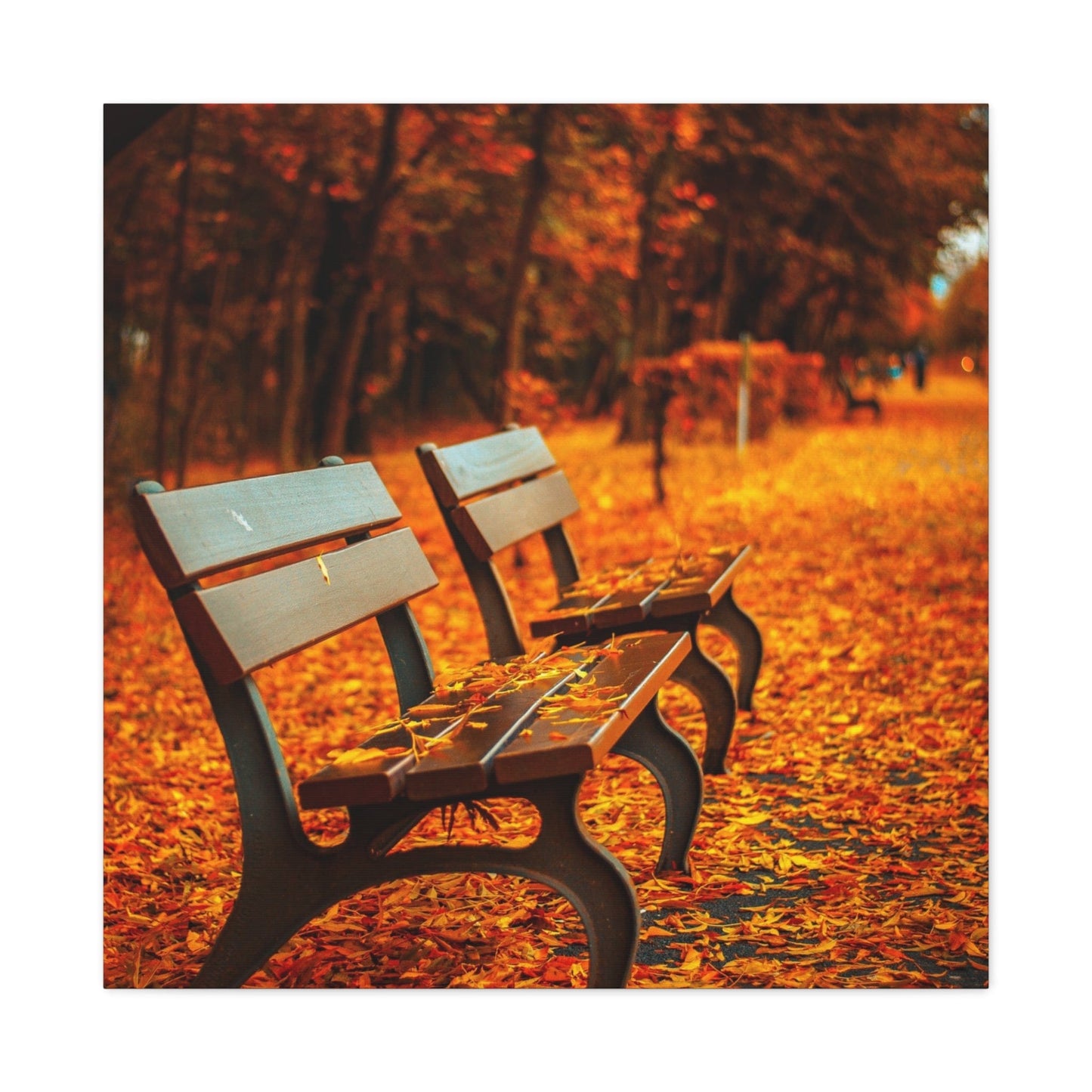 Bedroom Art Canvas 30″ x 30″ / 1.25" Empty Bench in Autumn, Stretched Matte Canvas