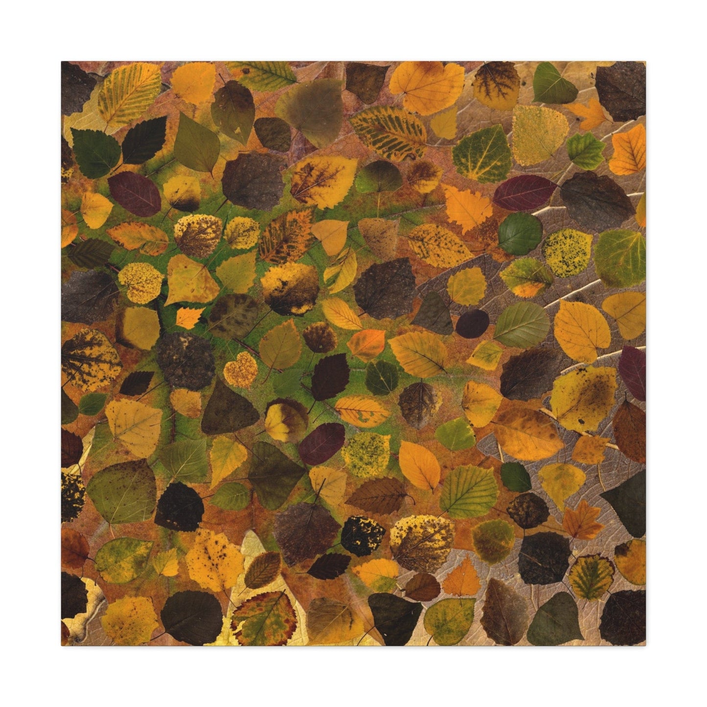 Bedroom Art Canvas 36" x 36" / 1.25" Background of Leaves, Stretched Matte Canvas