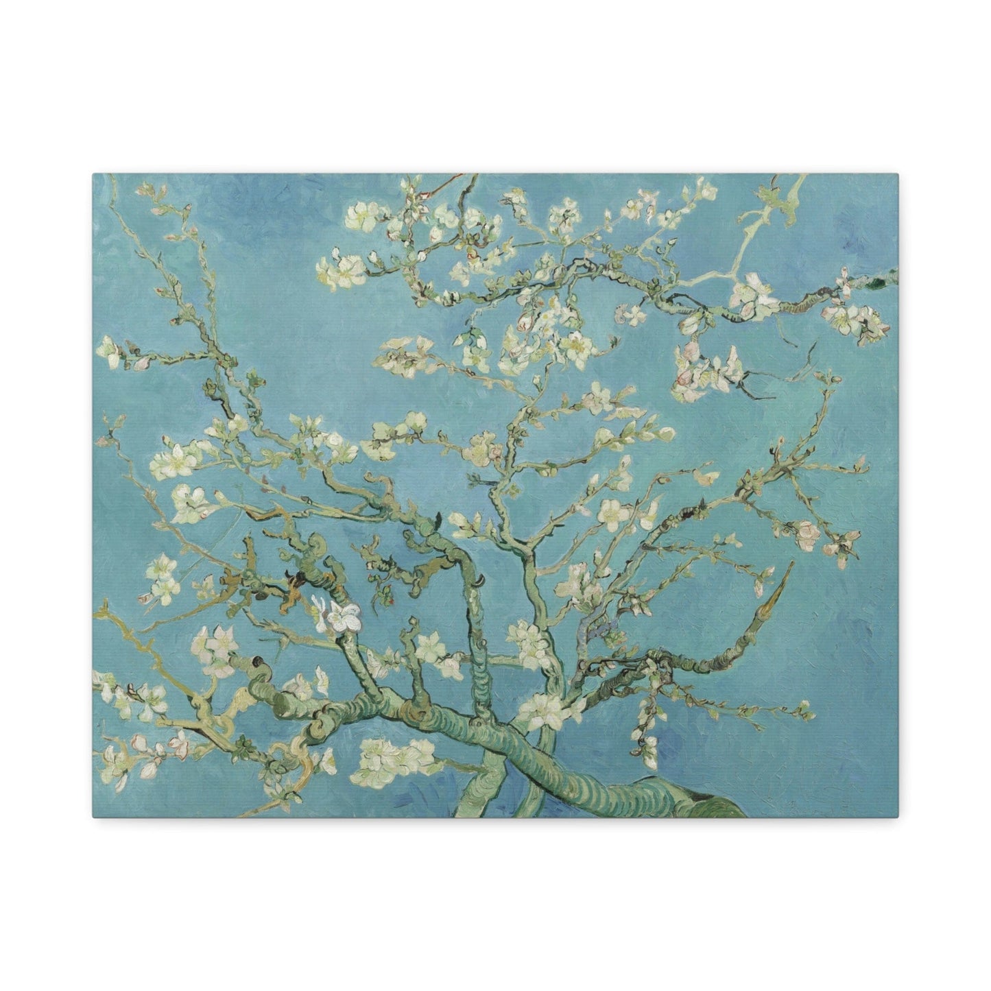Canvas 20″ x 16″ (Horizontal) / 1.25" Almond Blossom by Vincent van Gogh, Stretched Matte Canvas