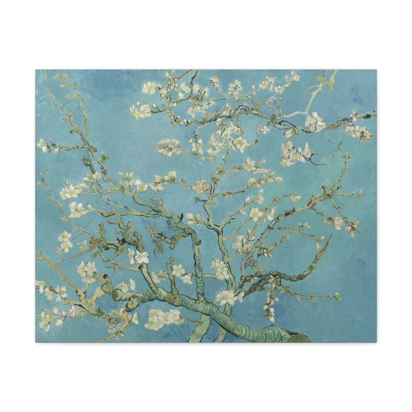 Canvas 30" x 24" (Horizontal) / 1.25" Almond Blossom by Vincent van Gogh, Stretched Matte Canvas