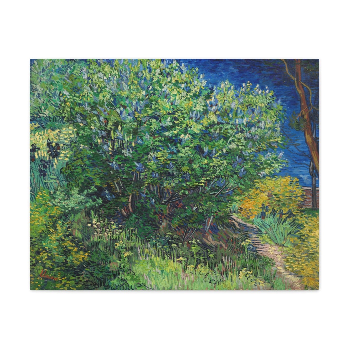 Canvas 30" x 24" (Horizontal) / 1.25" Lilac Bush, Vincent van Gogh (1889), Stretched Matte Canvas