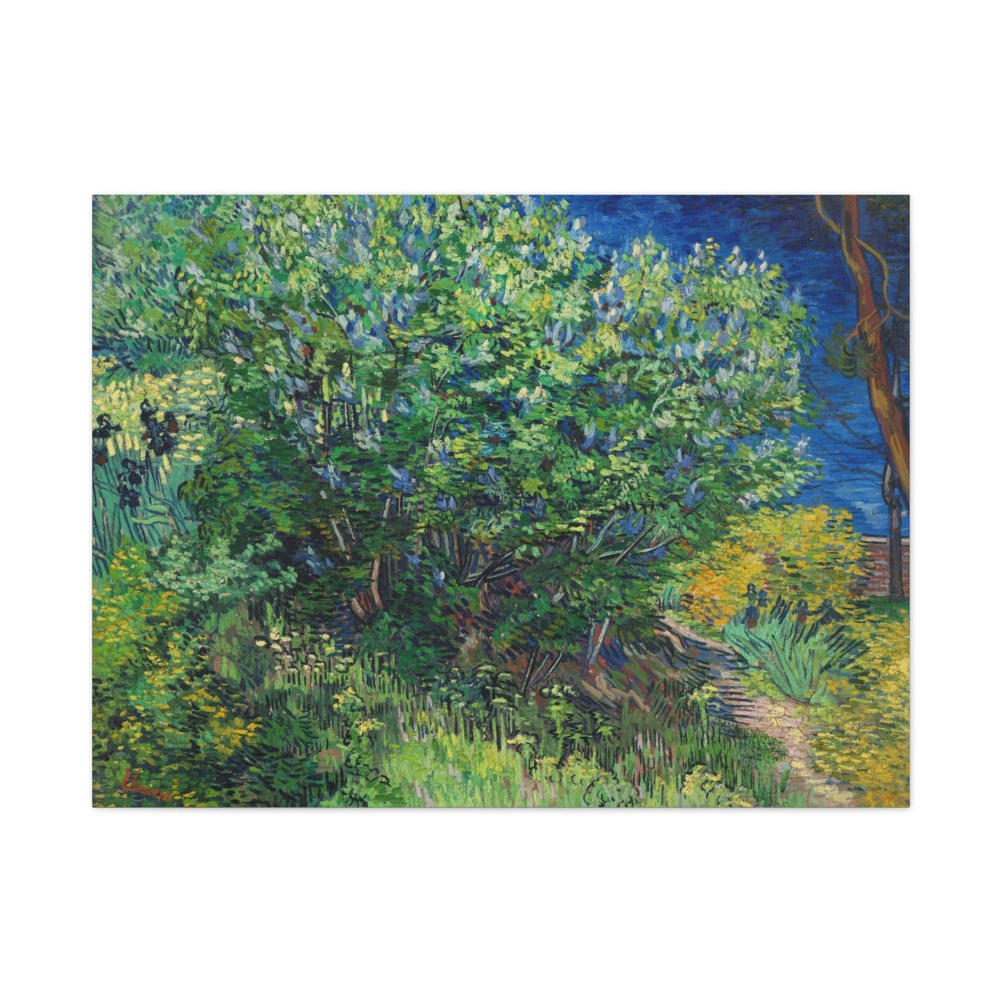 Canvas 40" x 30" (Horizontal) / 1.25" Lilac Bush, Vincent van Gogh (1889), Stretched Matte Canvas