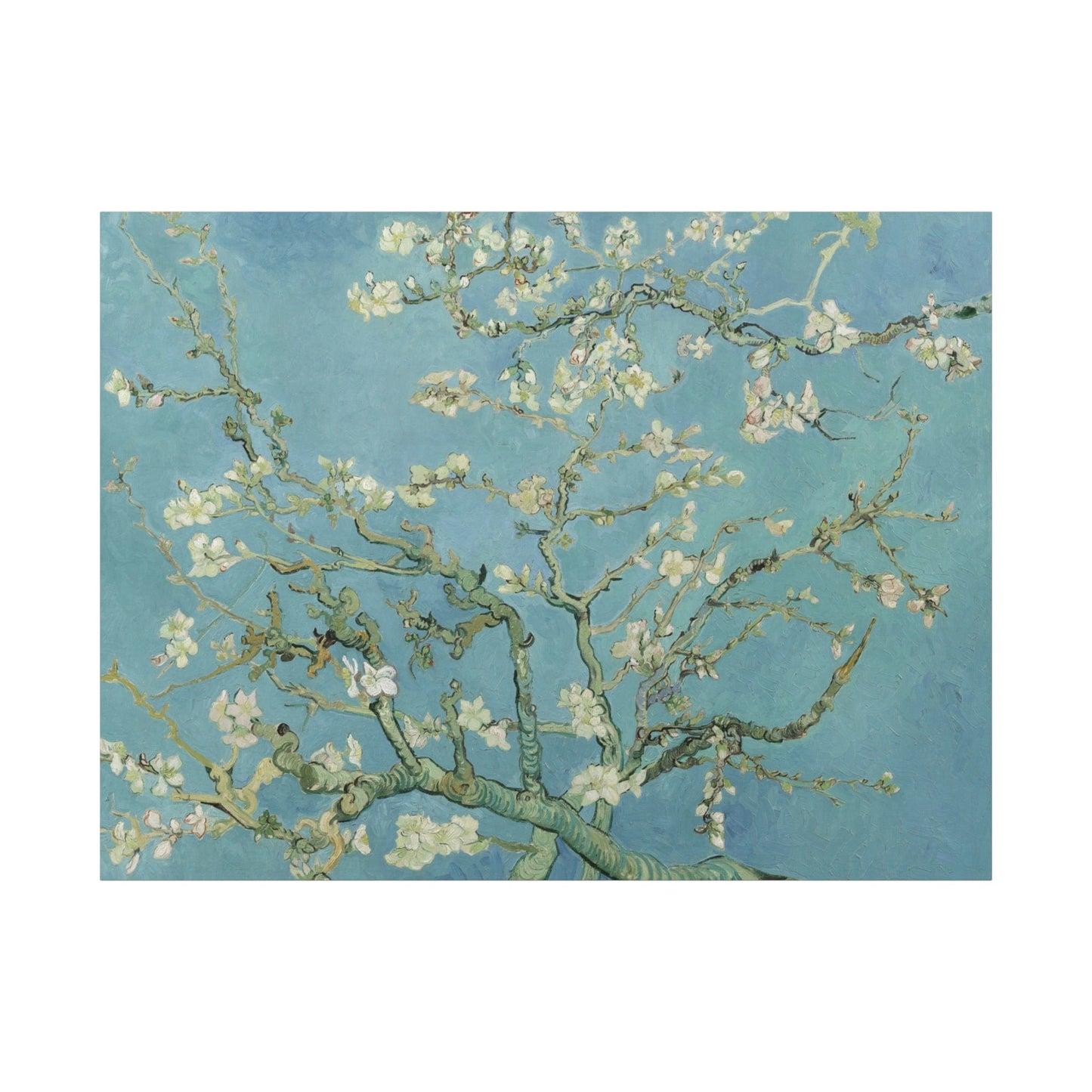 Canvas 48" x 36" (Horizontal) / 1.25" Almond Blossom by Vincent van Gogh, Stretched Matte Canvas