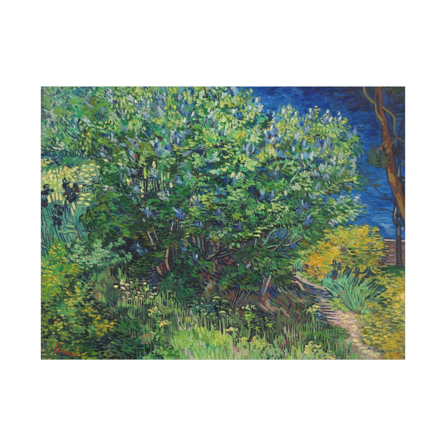 Canvas 48" x 36" (Horizontal) / 1.25" Lilac Bush, Vincent van Gogh (1889), Stretched Matte Canvas