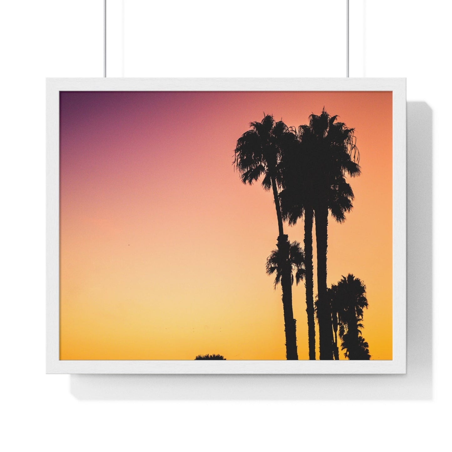 Poster 20" x 16" / White Palm Tree Silhouettes In Venice Beach, Framed Print
