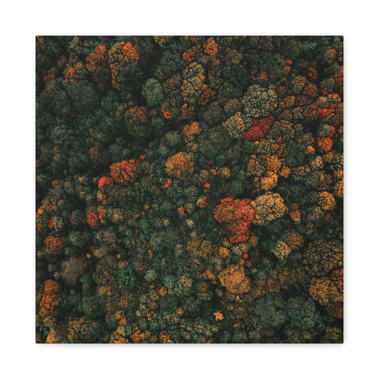 Bedroom Art Canvas 16″ x 16″ / 1.25" Birds Eye View of Treetops, Stretched Matte Canvas