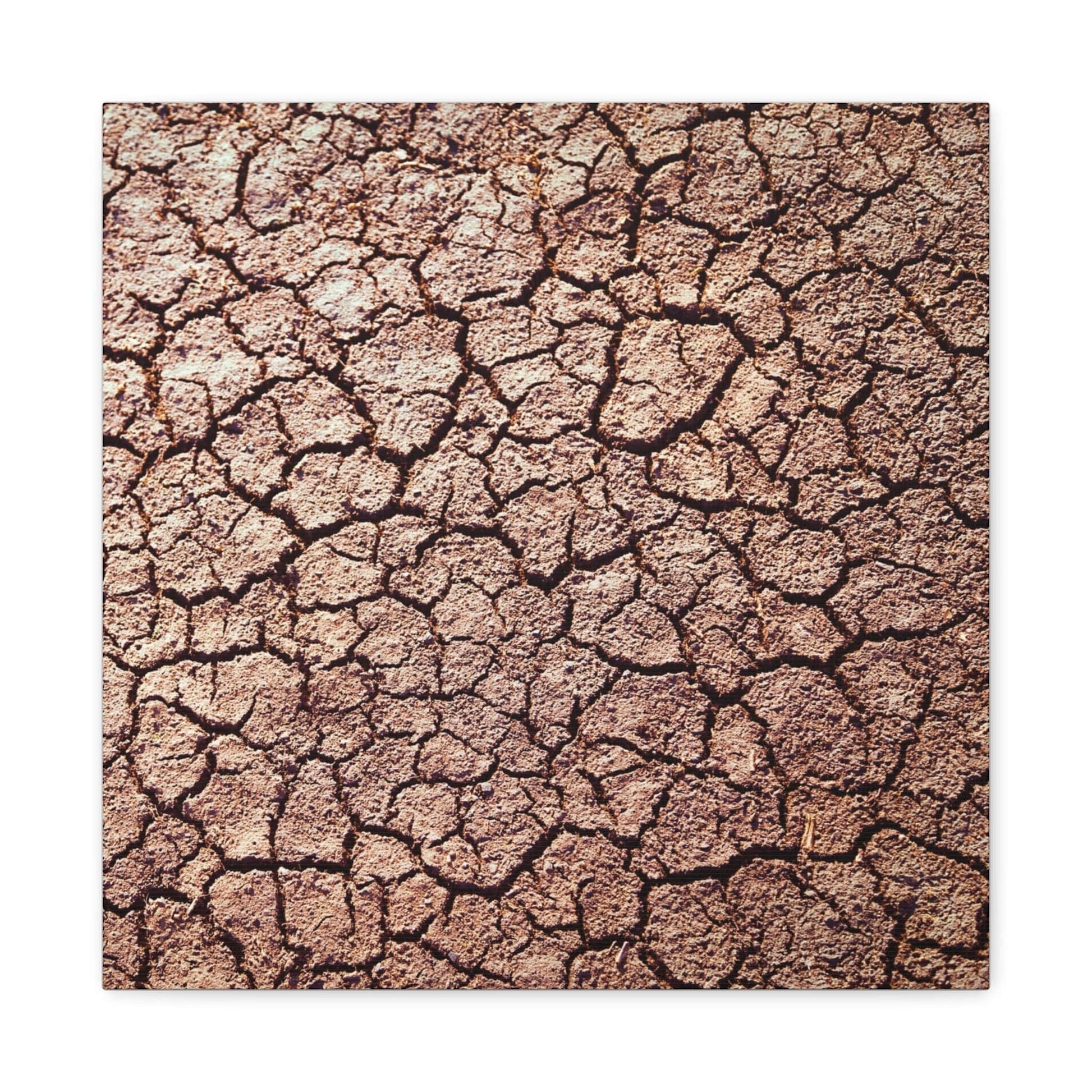 Bedroom Art Canvas 16″ x 16″ / 1.25" Cracked Ground, Stretched Matte Canvas