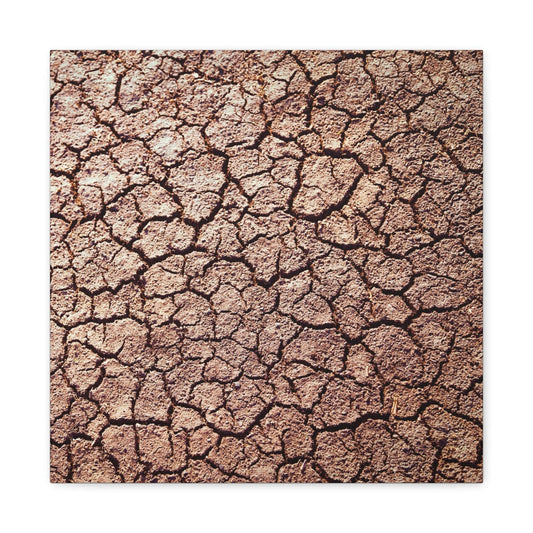 Bedroom Art Canvas 16″ x 16″ / 1.25" Cracked Ground, Stretched Matte Canvas