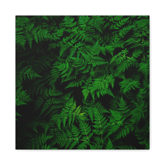 Bedroom Art Canvas 16″ x 16″ / 1.25" Fern Leaves, Stretched Matte Canvas