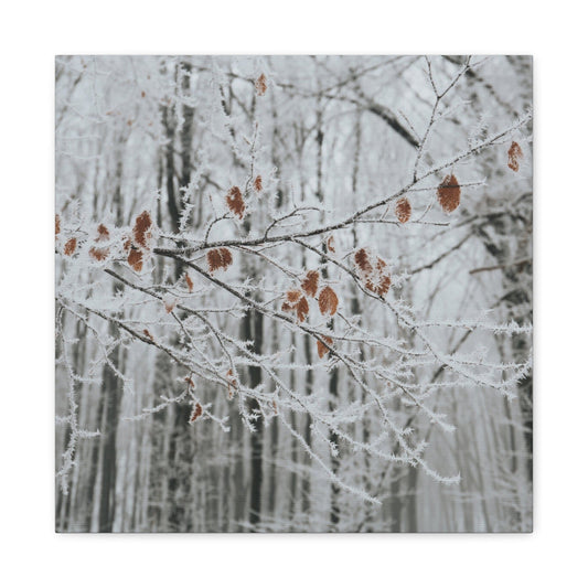 Bedroom Art Canvas 16″ x 16″ / 1.25" Frosted Leaves on Trees, Stretched Matte Canvas