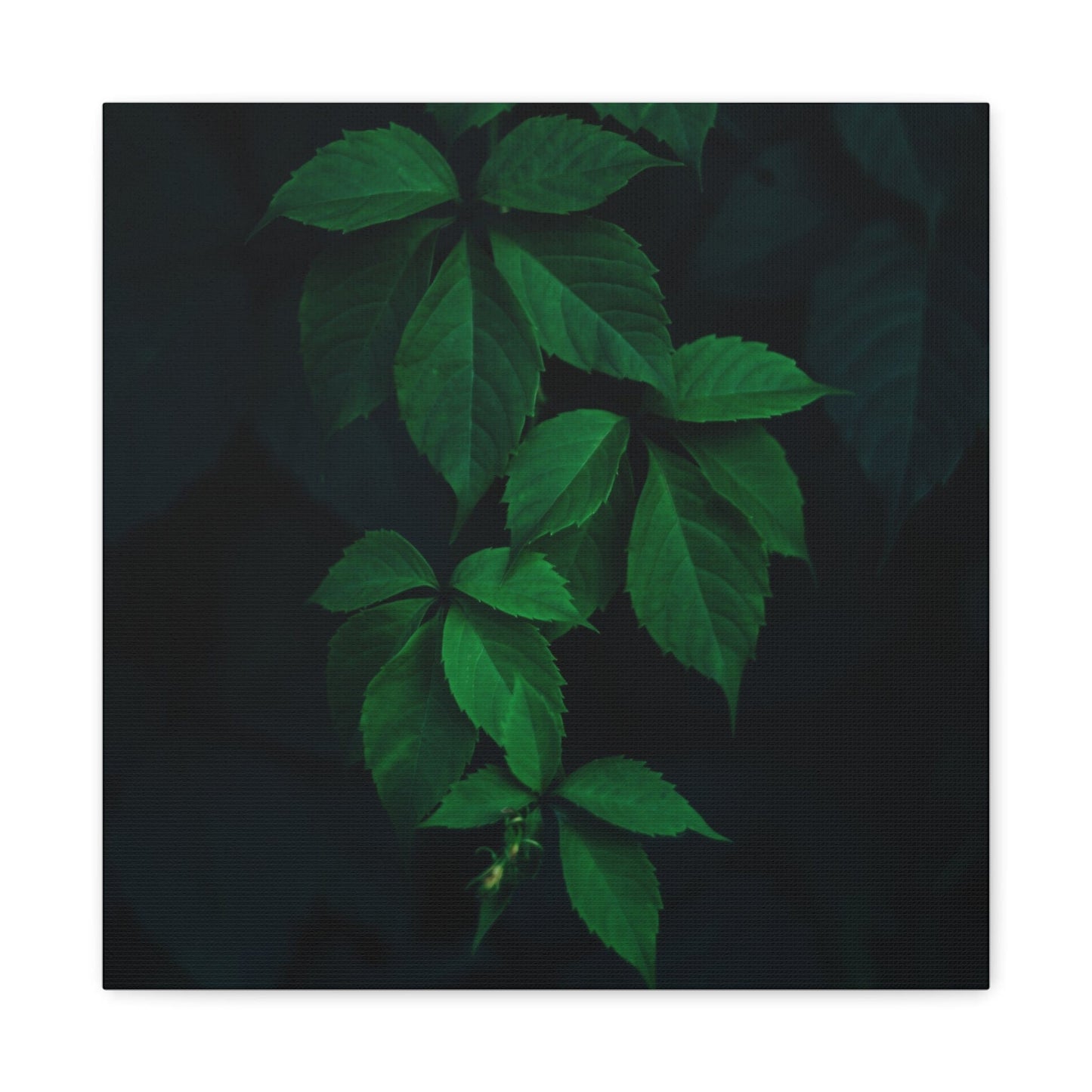Bedroom Art Canvas 16″ x 16″ / 1.25" Green Leafed Plant, Stretched Matte Canvas