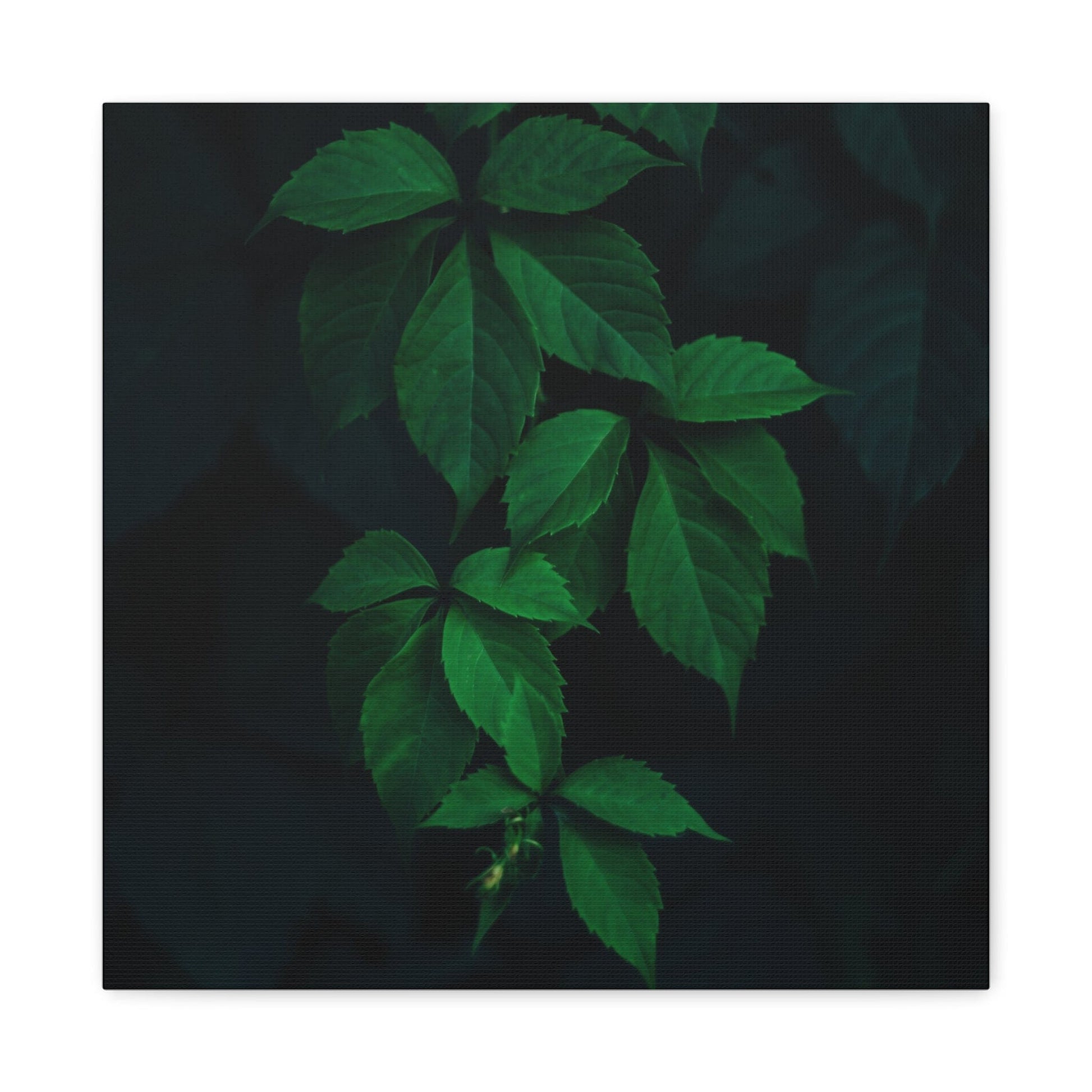 Bedroom Art Canvas 16″ x 16″ / 1.25" Green Leafed Plant, Stretched Matte Canvas