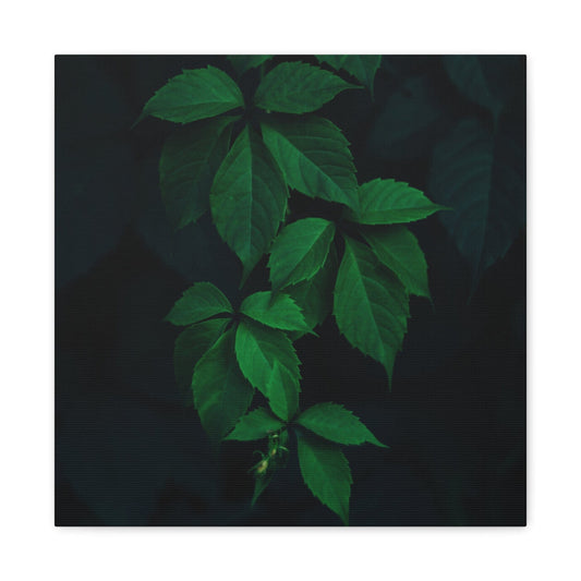 Bedroom Art Canvas 16″ x 16″ / 1.25" Green Leafed Plant, Stretched Matte Canvas