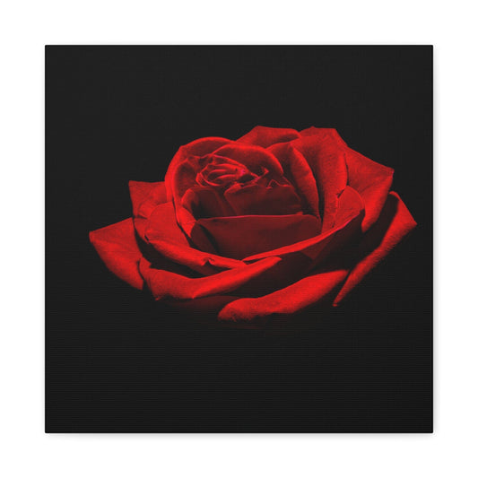 Bedroom Art Canvas 16″ x 16″ / 1.25" Red Rose, Stretched Matte Canvas