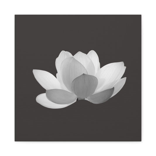 Bedroom Art Canvas 16″ x 16″ / 1.25" White Lotus, Stretched Matte Canvas