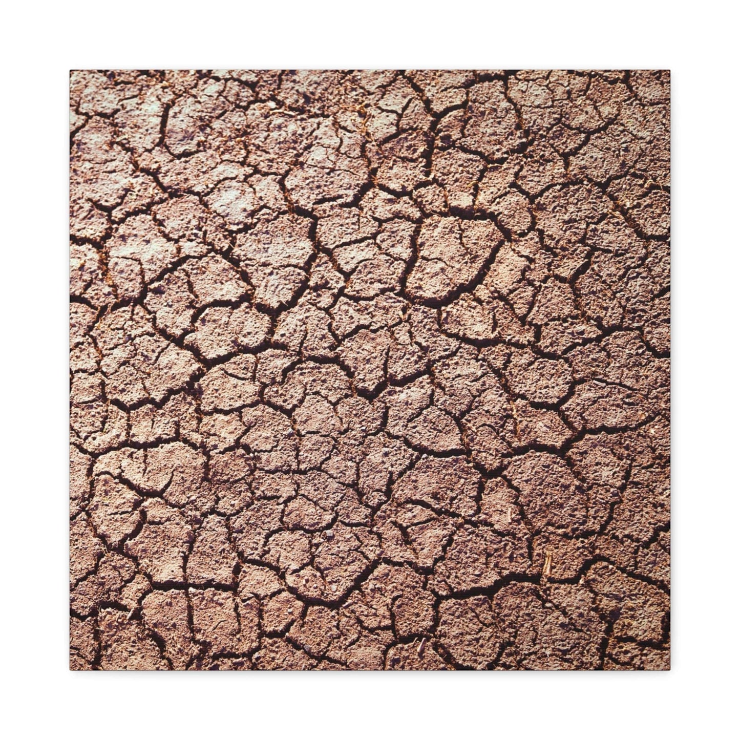 Bedroom Art Canvas 20″ x 20″ / 1.25" Cracked Ground, Stretched Matte Canvas