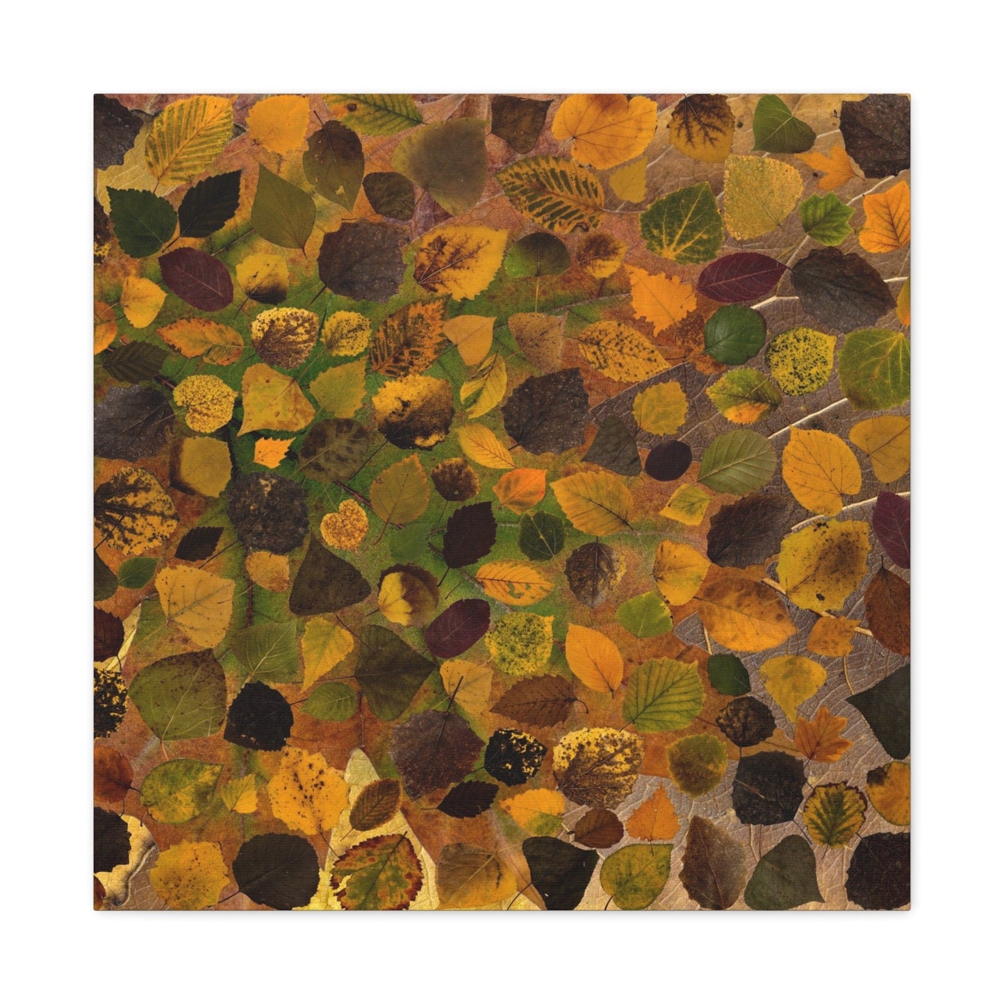 Bedroom Art Canvas 24″ x 24″ / 1.25" Background of Leaves, Stretched Matte Canvas
