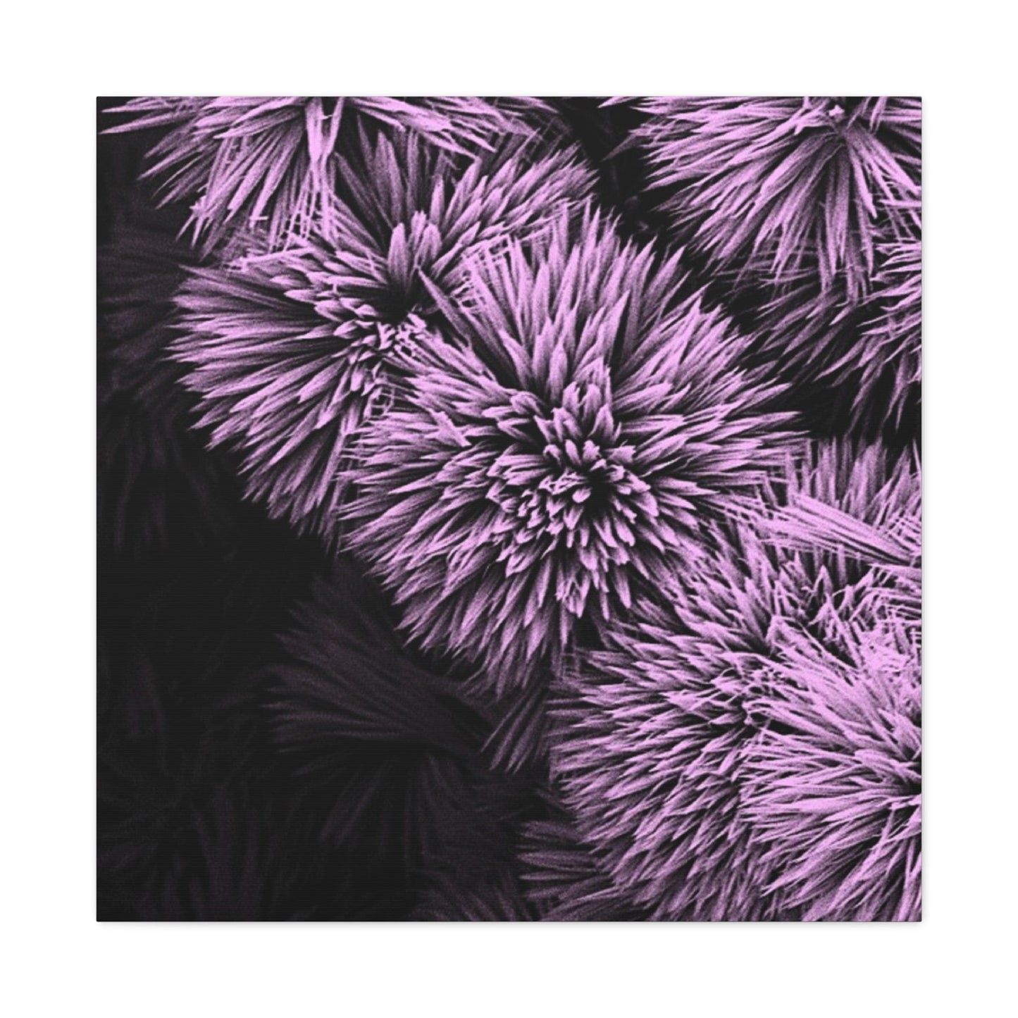 Bedroom Art Canvas 30″ x 30″ / 1.25" Pink Fireworks, Stretched Matte Canvas