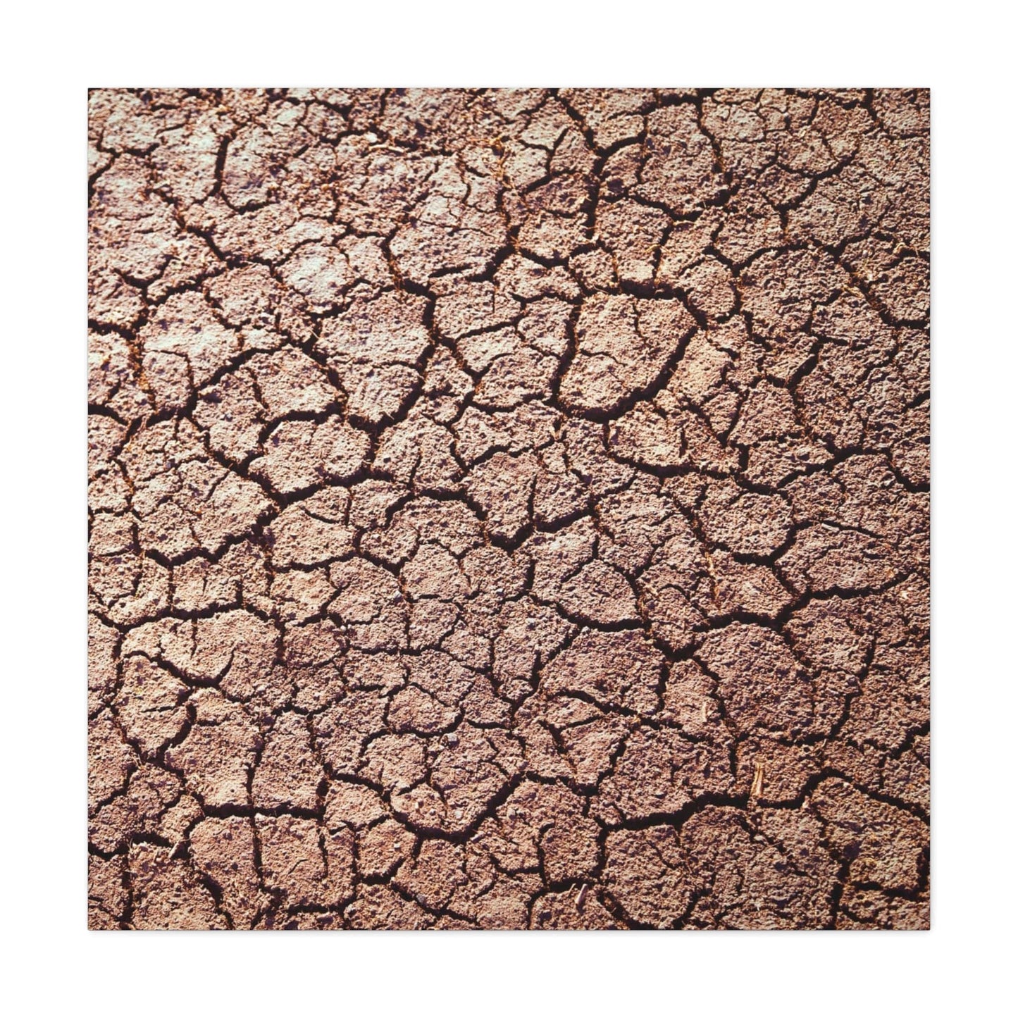 Bedroom Art Canvas 36" x 36" / 1.25" Cracked Ground, Stretched Matte Canvas