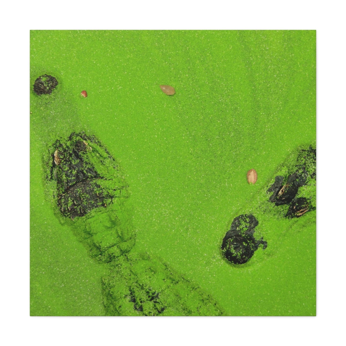 Bedroom Art Canvas 36" x 36" / 1.25" Crocodile in Water with Green Leaf, Stretched Matte Canvas