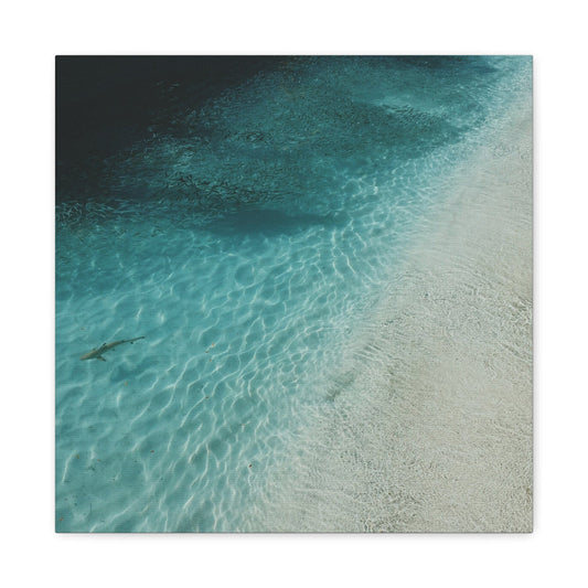 Canvas 16″ x 16″ / 1.25" Blue Ocean with Nice Beach, Stretched Matte Canvas