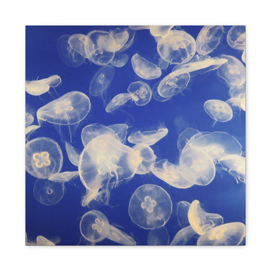 Canvas 16″ x 16″ / 1.25" Jellyfish Swarm, Stretched Matte Canvas