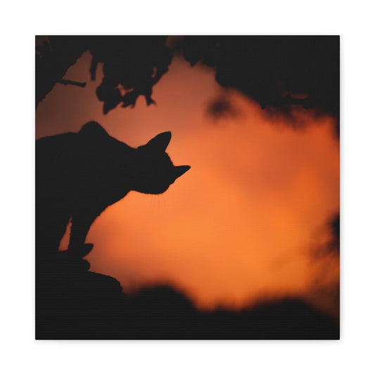 Canvas 16″ x 16″ / 1.25" Silhouette Shot of Cat and Tree against Orange Sky Background, Stretched Matte Canvas