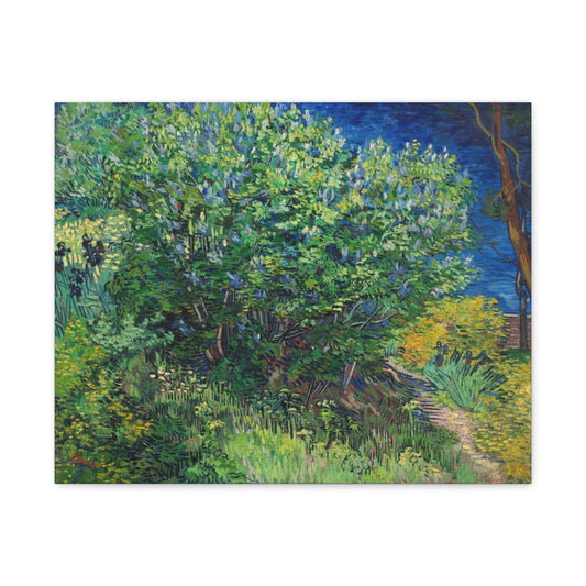Canvas 20″ x 16″ (Horizontal) / 1.25" Lilac Bush, Vincent van Gogh (1889), Stretched Matte Canvas