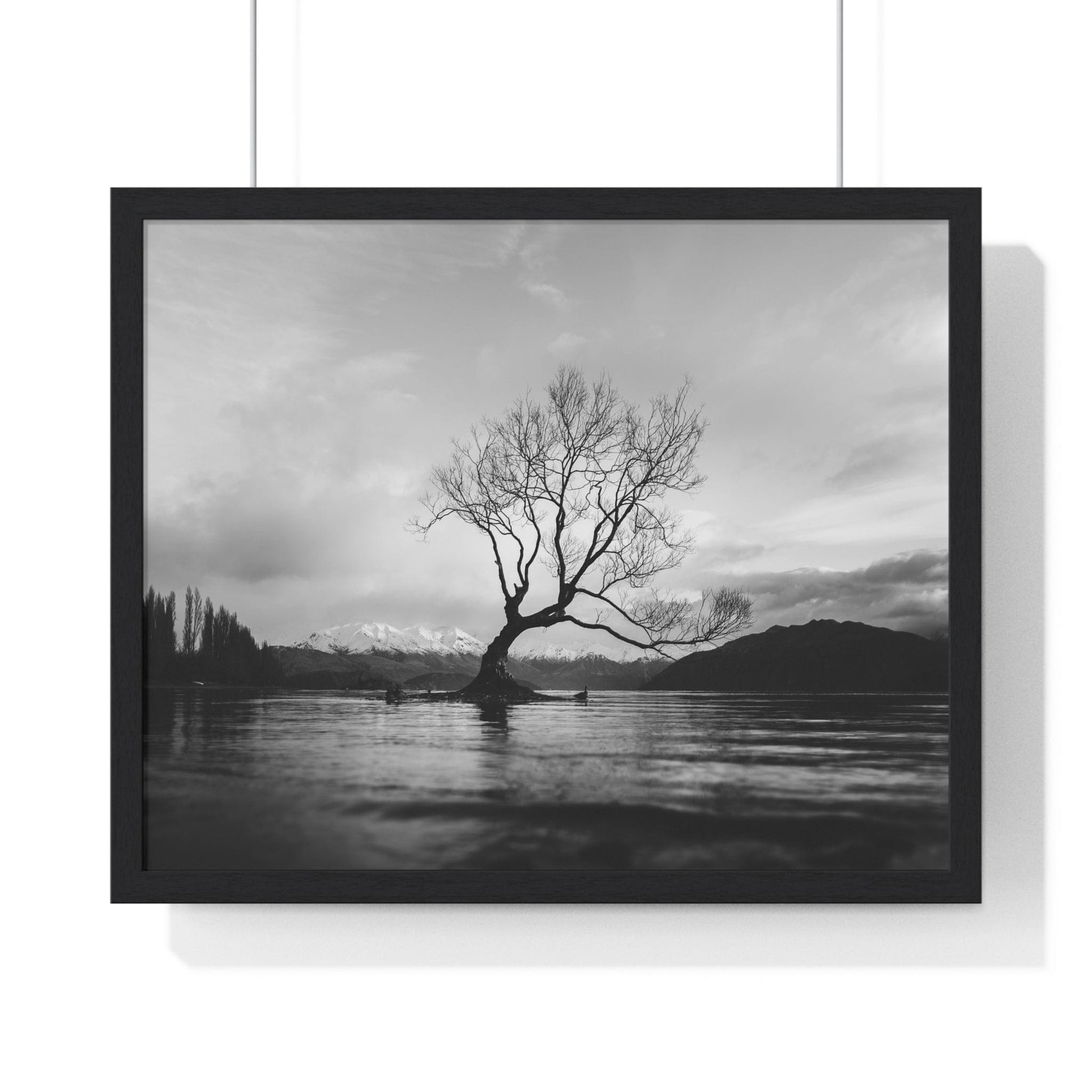 Poster 20" x 16" / Black Wanaka Tree, New Zealand Framed Print