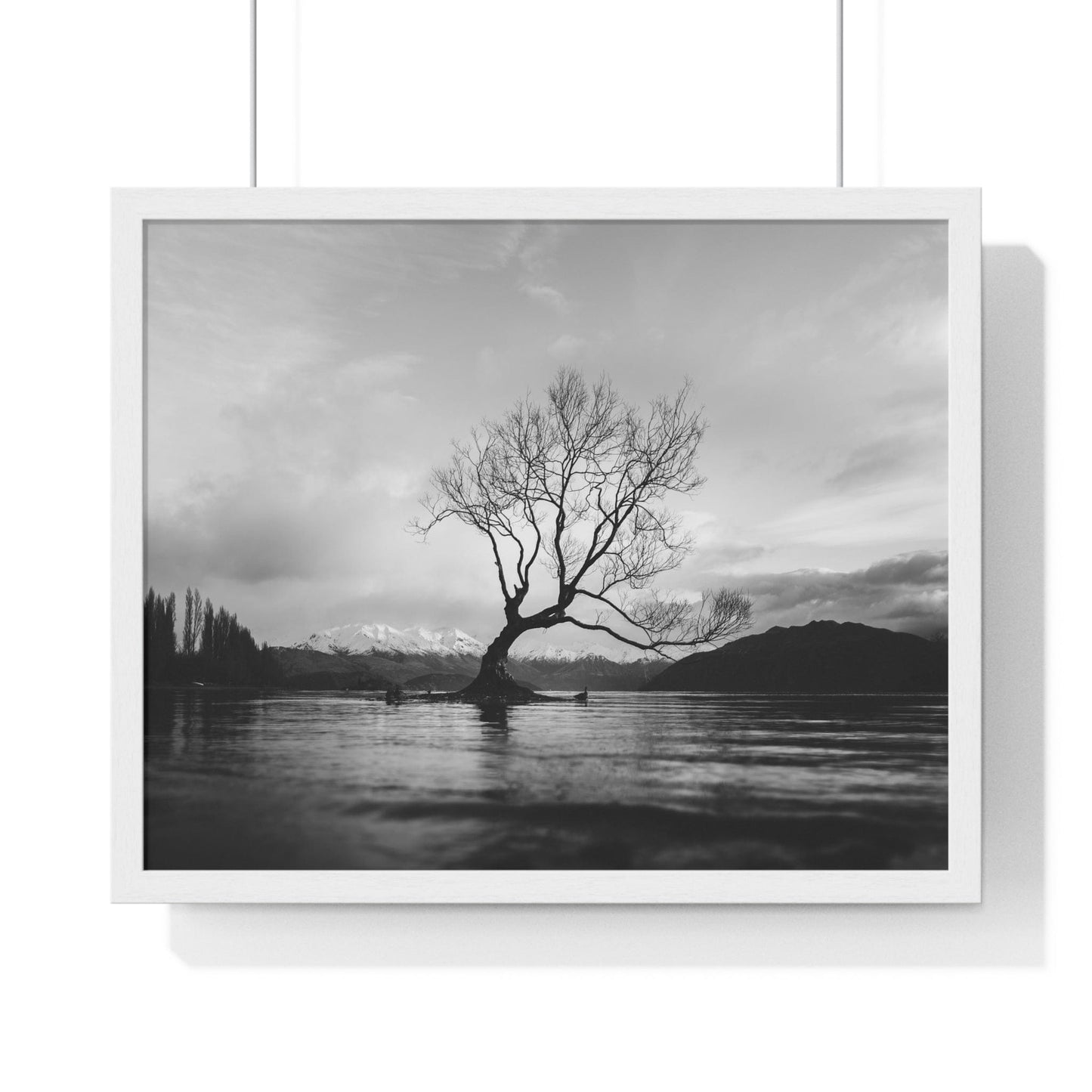 Poster 20" x 16" / White Wanaka Tree, New Zealand Framed Print
