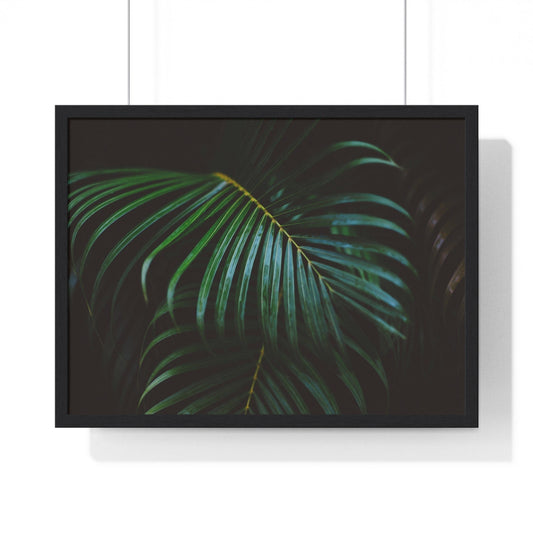 Poster 24″ x 18″ / Black Palm Leaf, Framed Print