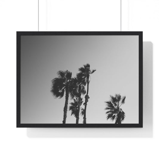 Poster 24″ x 18″ / Black Palm Trees, Framed Print