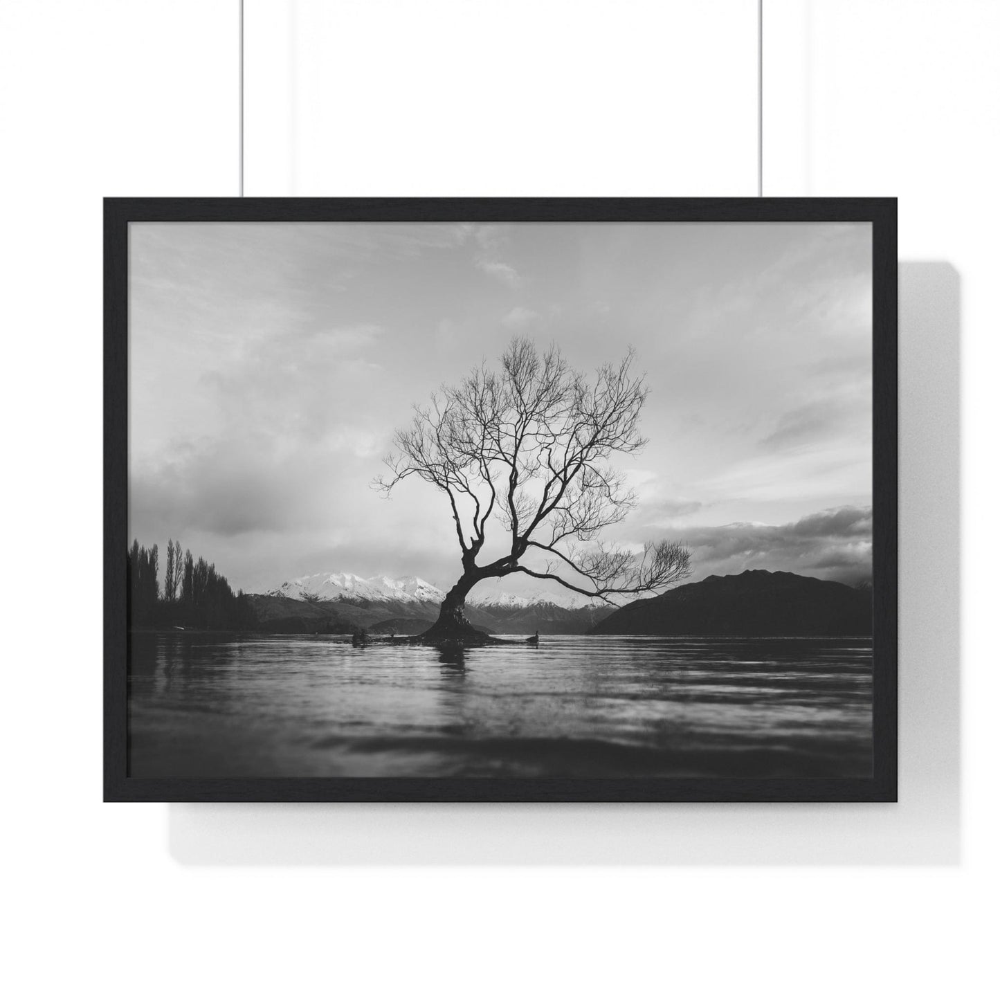 Poster 24″ x 18″ / Black Wanaka Tree, New Zealand Framed Print