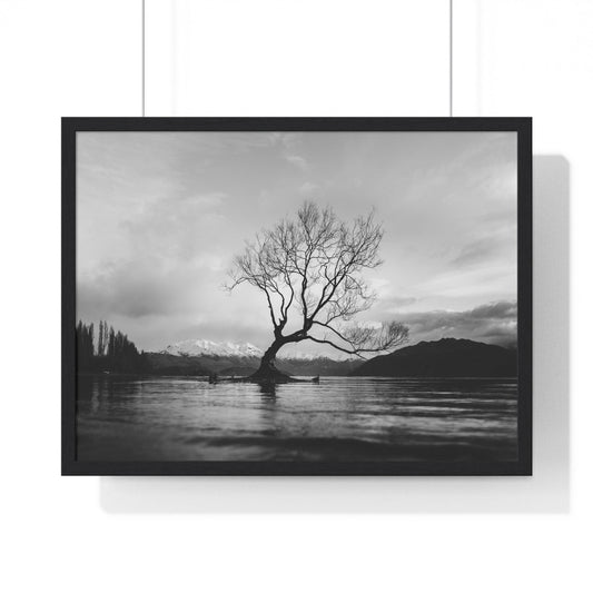 Poster 24″ x 18″ / Black Wanaka Tree, New Zealand Framed Print