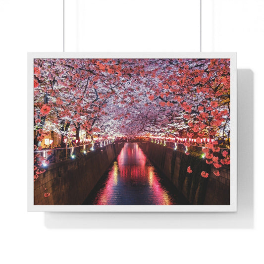 Poster 24″ x 18″ / White Cherry trees Framed Print