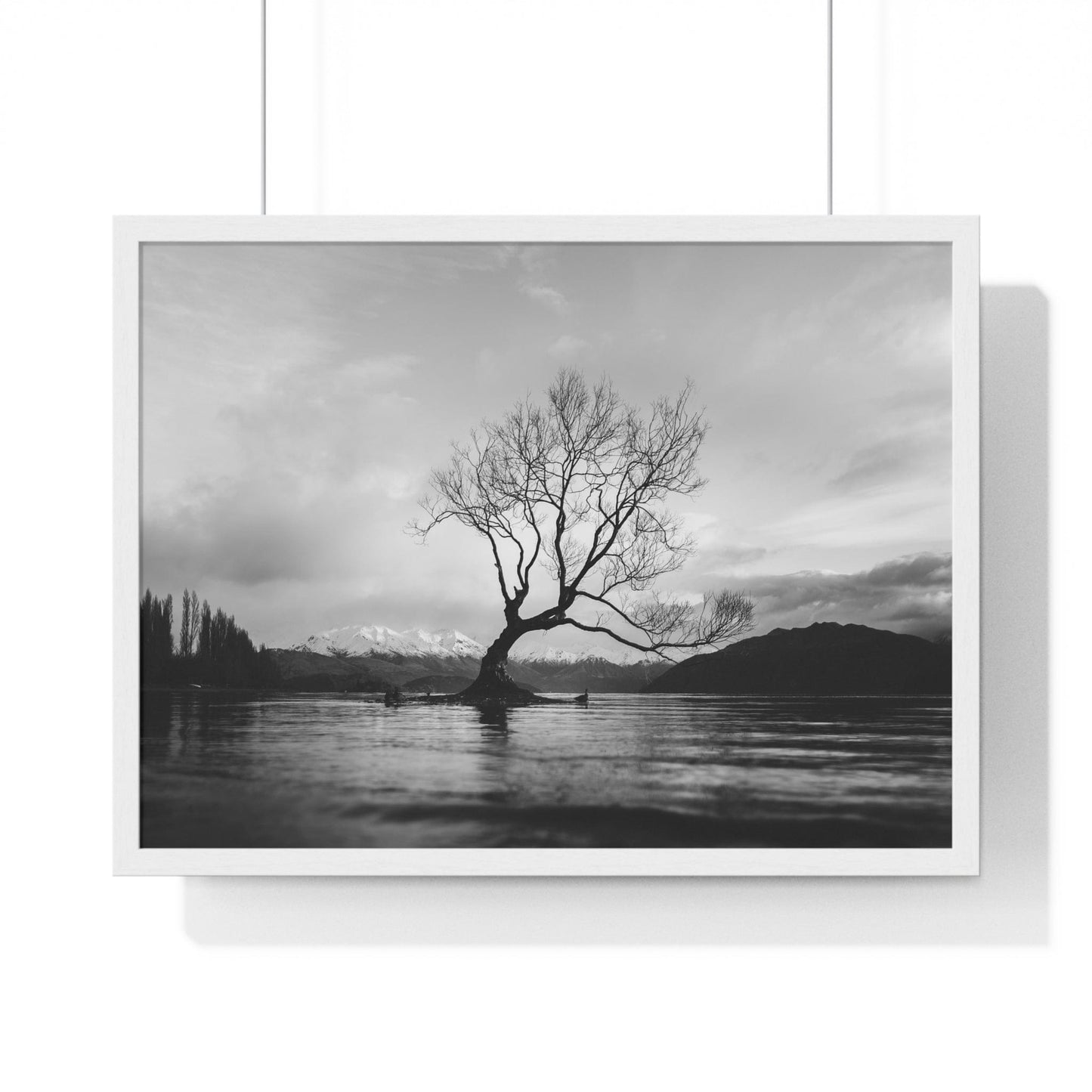 Poster 24″ x 18″ / White Wanaka Tree, New Zealand Framed Print