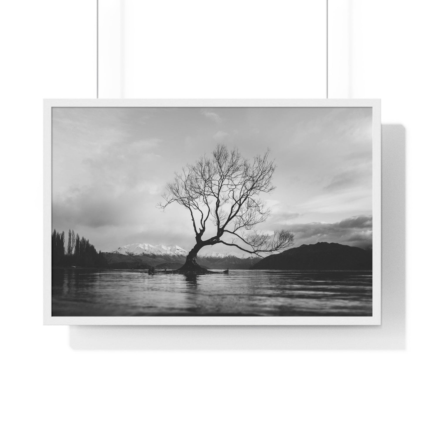 Poster 30" x 20" / White Wanaka Tree, New Zealand Framed Print
