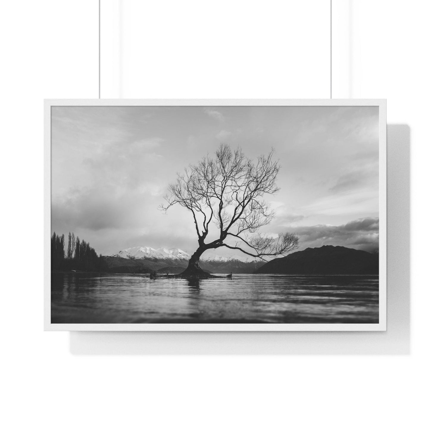 Poster 36″ x 24″ / White Wanaka Tree, New Zealand Framed Print
